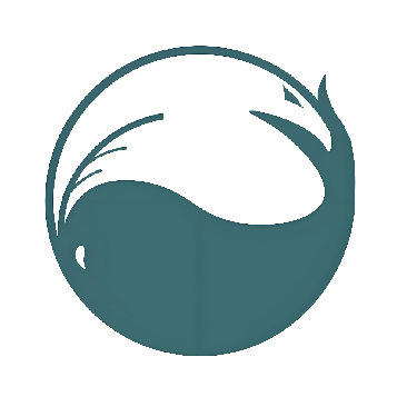 测试订制勿拍